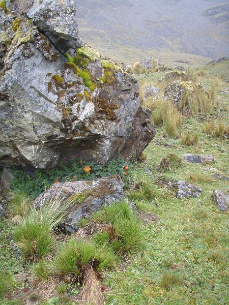 Illampu Trek (26).JPG